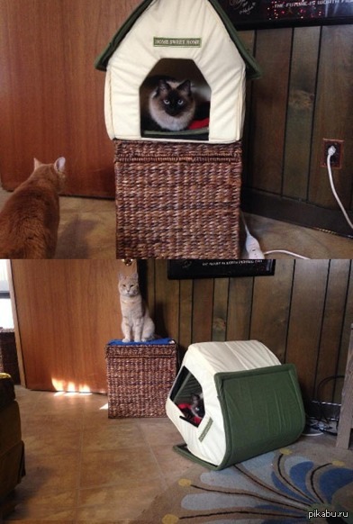 Трагикомедия в двух действиях.