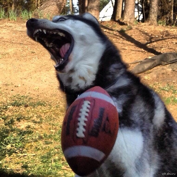 Добром это не кончится