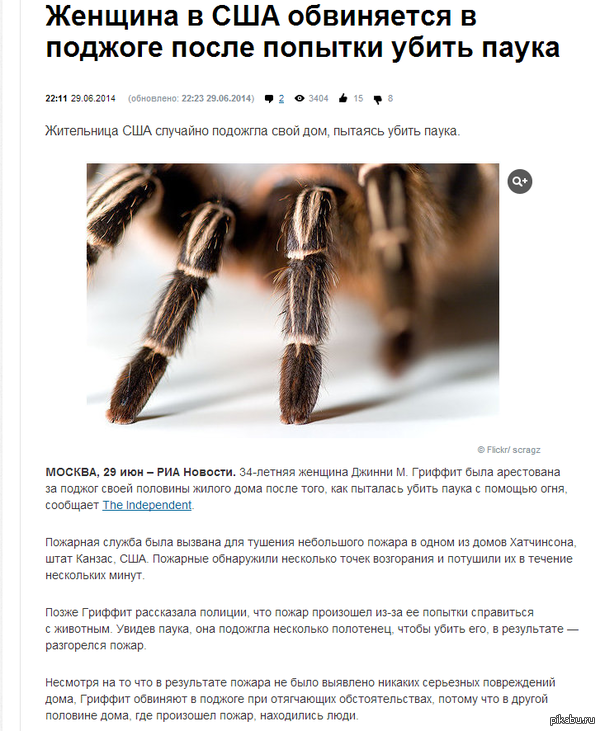 ������� � ��� ���������� � ������� ����� ������� ����� �����