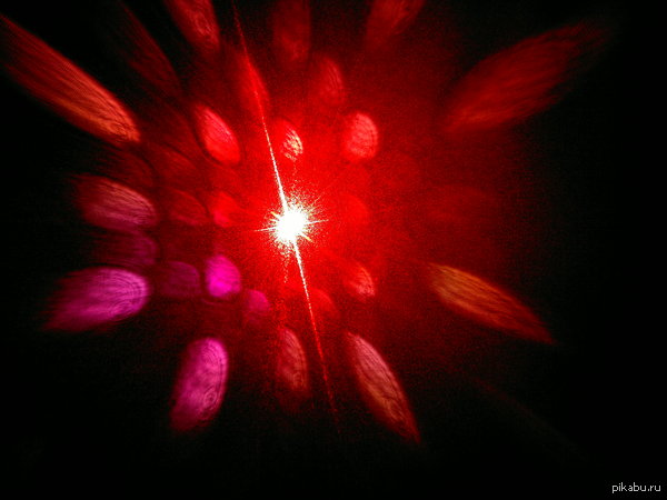 ����� ���� ���������� �������� ������