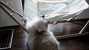    , ,    ! 