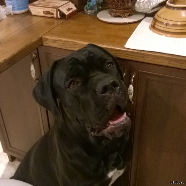 ��� ����