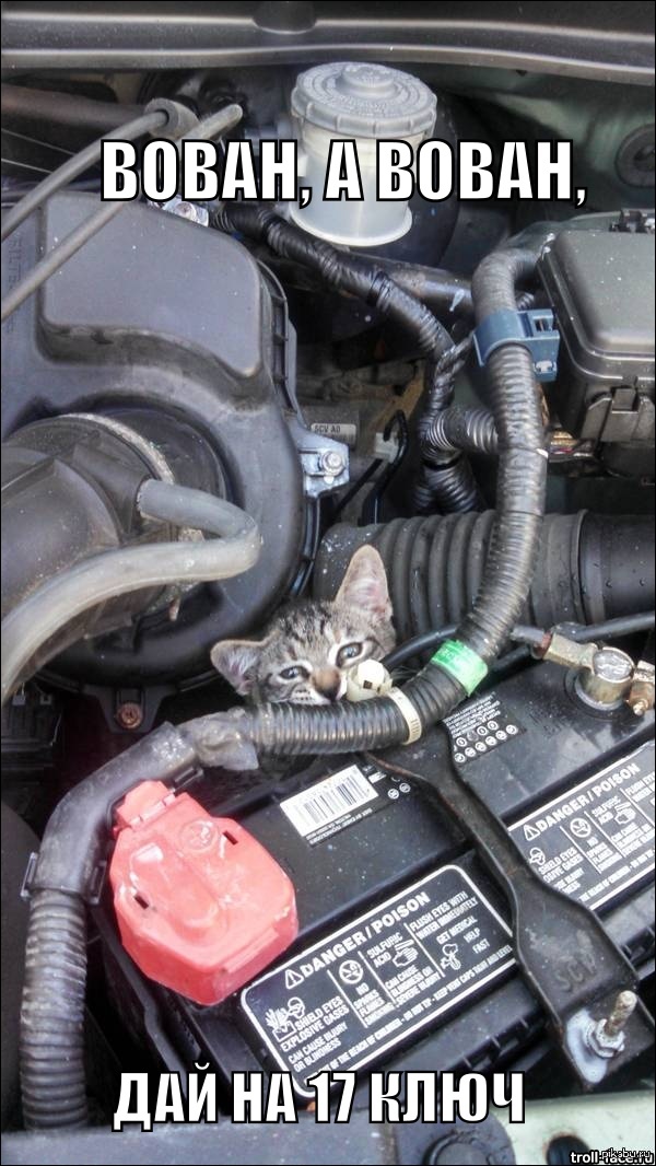 Я у хозяина ремонтник.