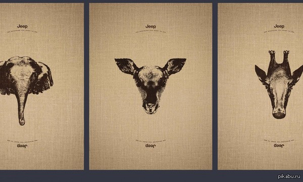 ������ ������������� ������� "�������� �����"