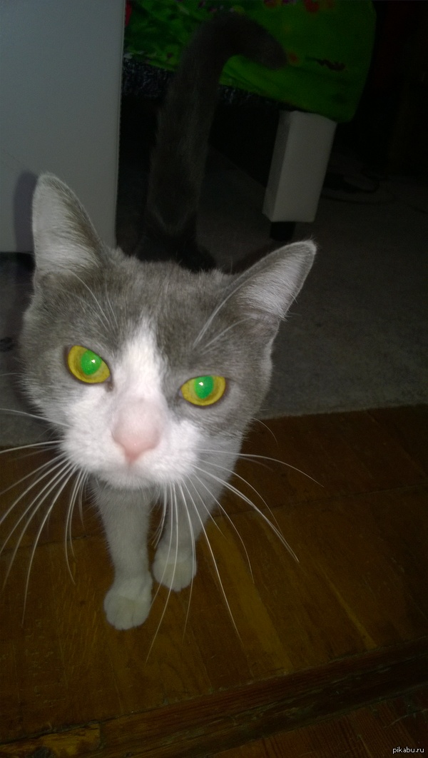 �� ��� �����. ��� ������� - �����