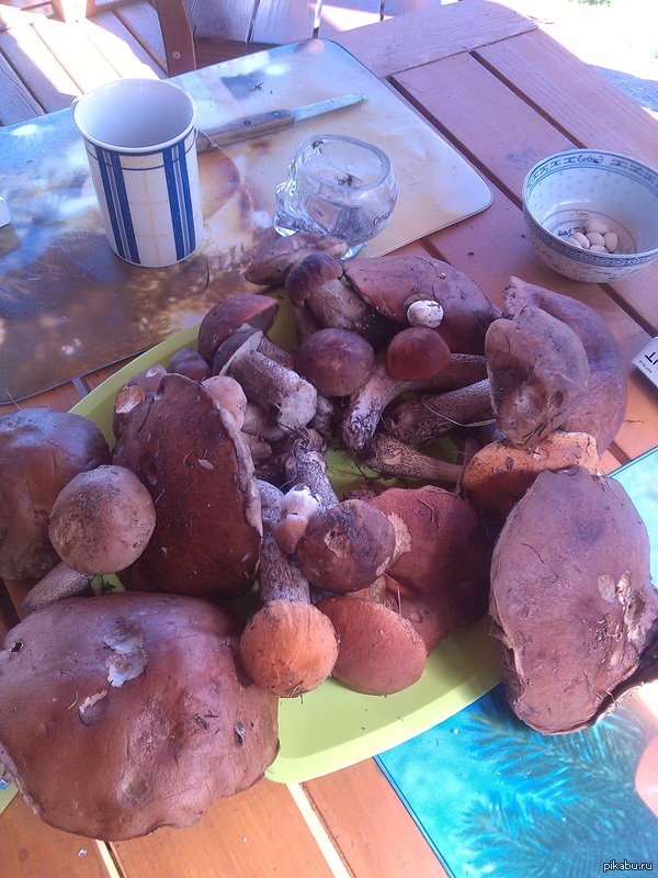 ����������� ����������