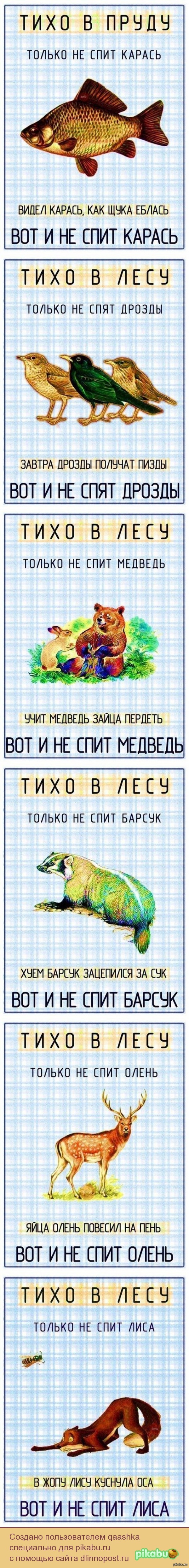 Текст песни тихо в лесу