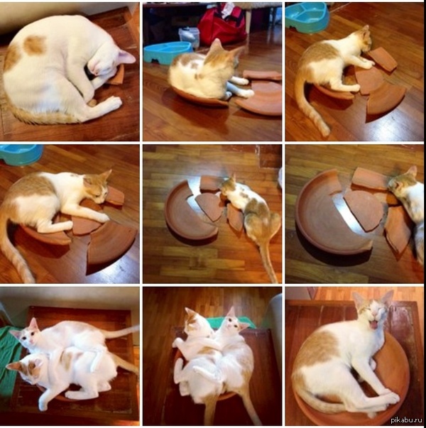 ��� ���� � ���� �������� � ������ ��??