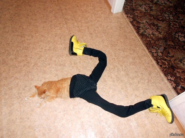 ��� � ������