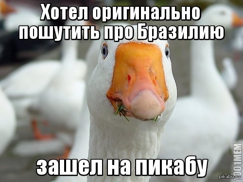 ����� ����������� �������� ��� ��������...