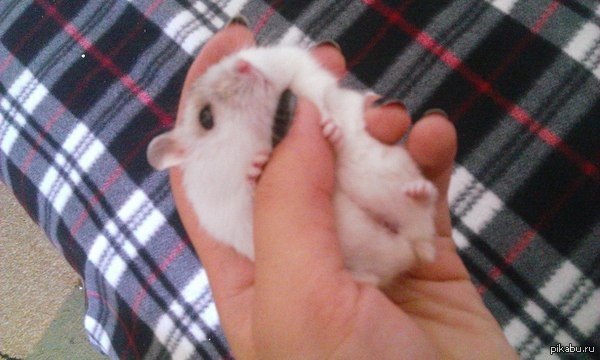 �������-�� :3