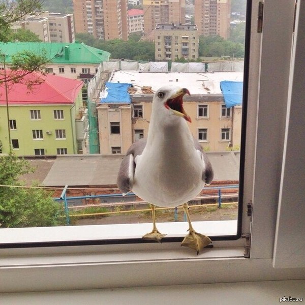 �������������