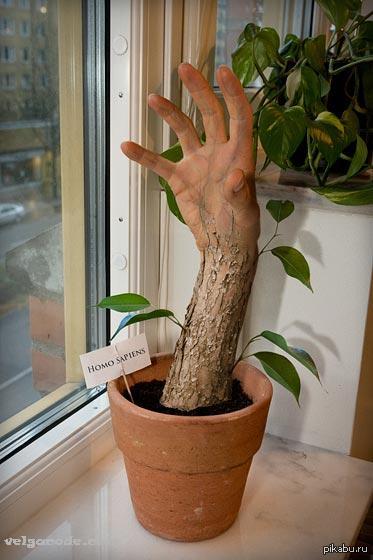 Расти, ручка, большая и маленькая