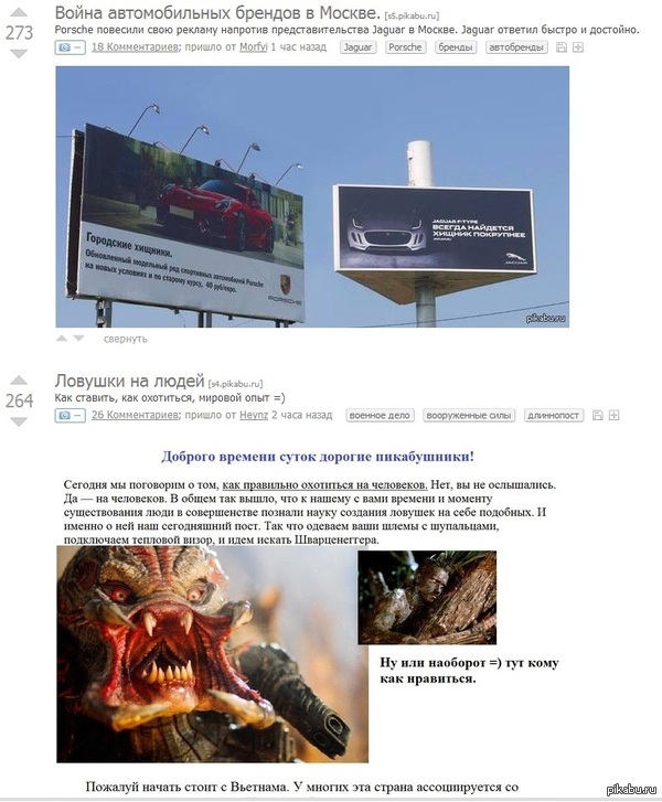 День хищника