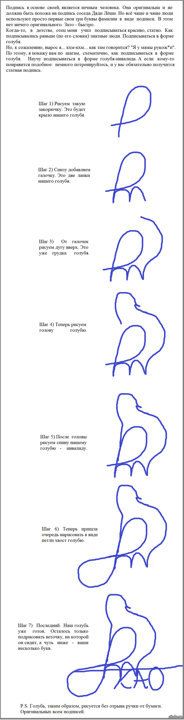 Подпись голубем | Пикабу