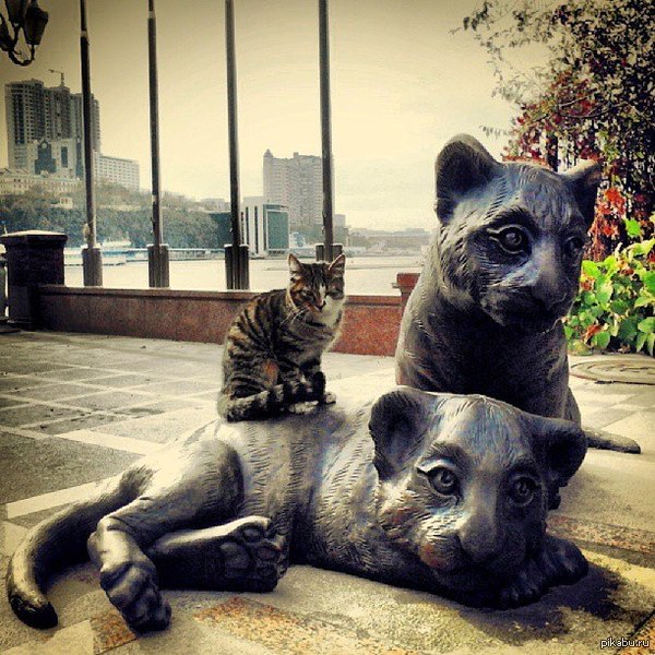 ���� ������������;)