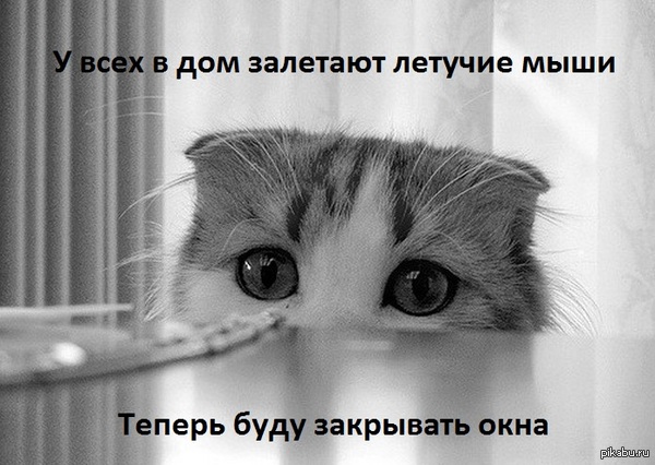 �������...