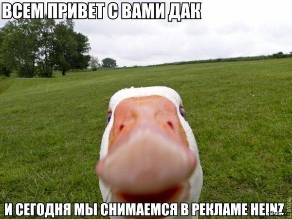     (  )