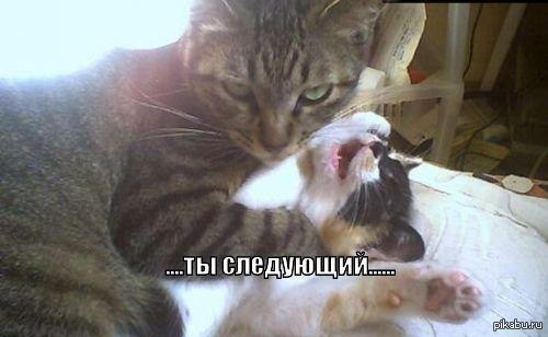 Он слишком много знал. Из соцсетей.