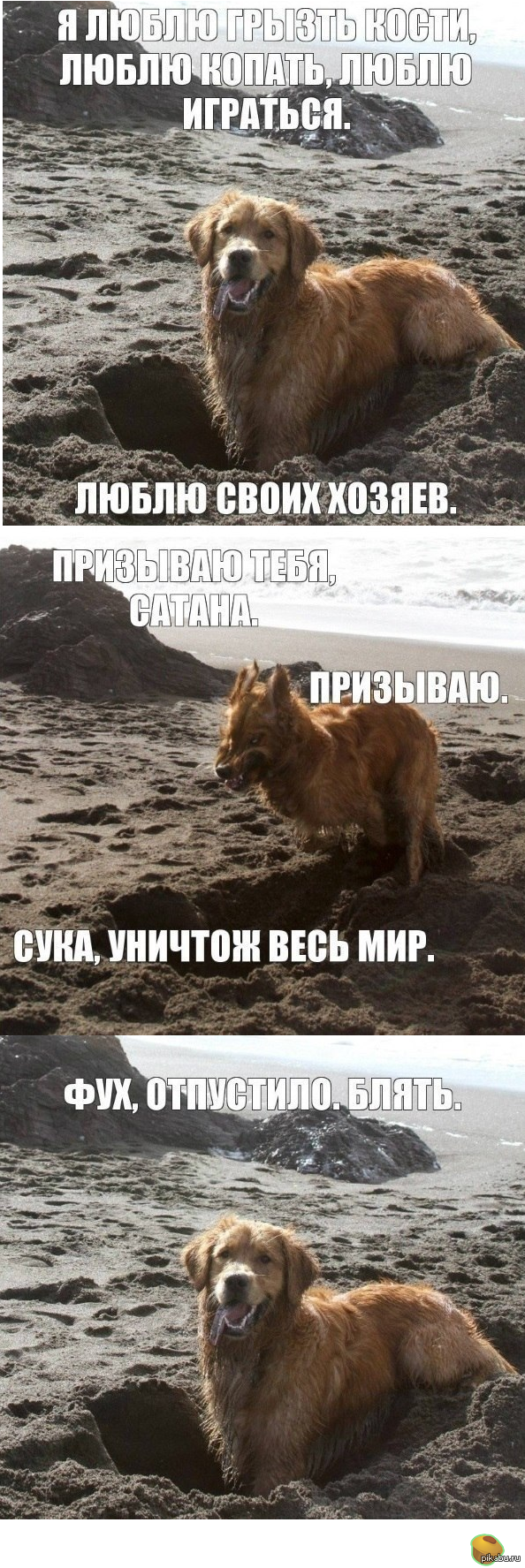 Призывая тебя сатана! Ой, то есть - Гав-гав-гав...