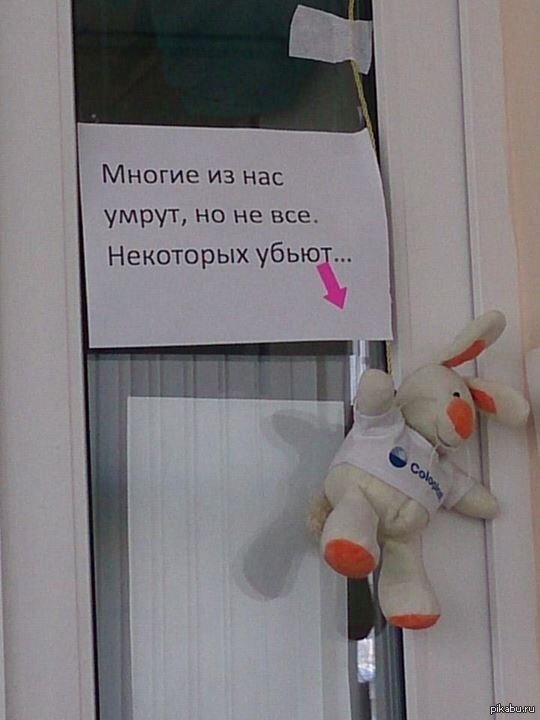 Пришел я сегодня к стоматологу-хирургу...