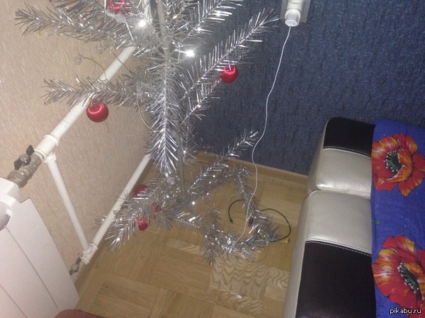 � �������� ���� �������� ������� ���� ������������� ����