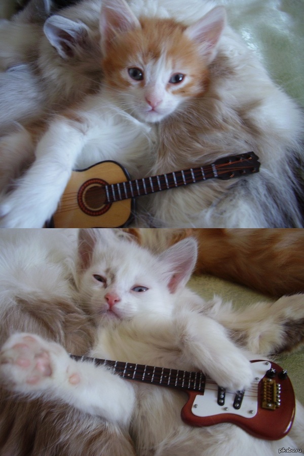 ����� ������� � ���� ��������