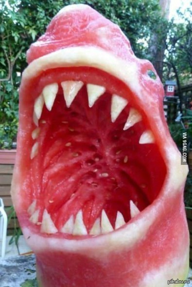 акула из арбуза