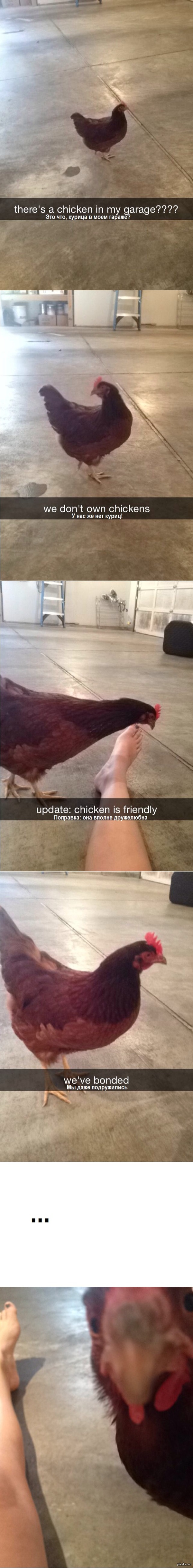 ������ � ���-�� � �����...