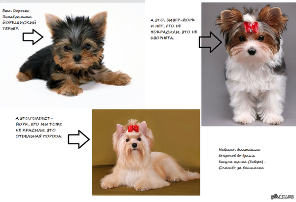 Надеюсь, вопросов теперь на улицах станет меньше...