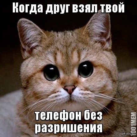 Ты офонарел?