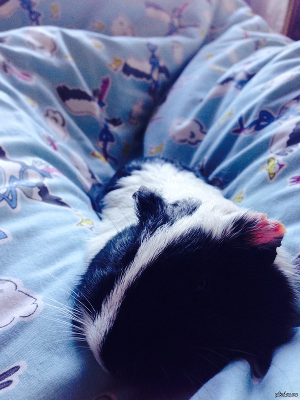 Потеря. Уж извините. Нужно поделиться