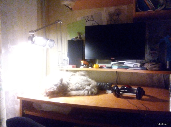 Компьютер заблокирован