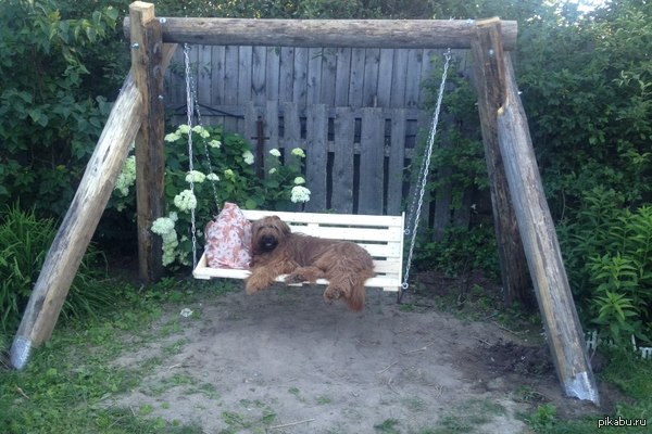 ������ ������� ������, ������� ��������!