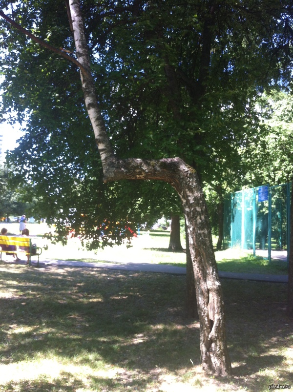 ������������� ������