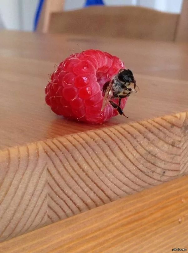 ������ ����� ����� � ������ � ������ � ����������� ���