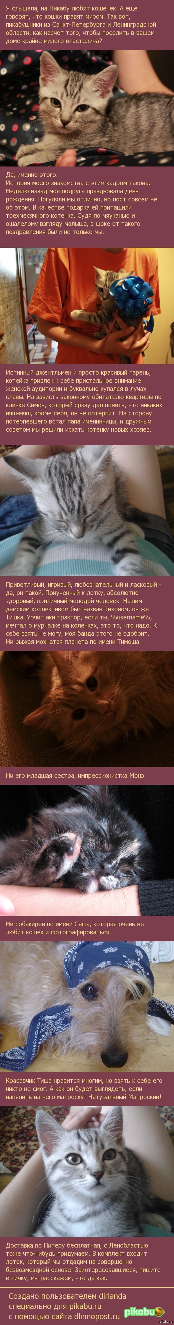 Милый мальчишка по имени Тишка