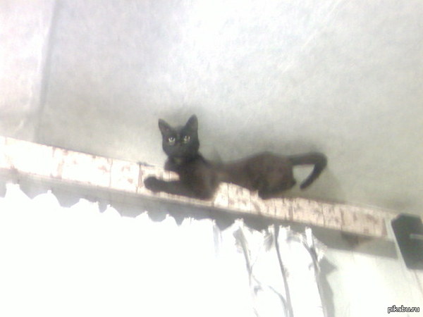 Любимое место отдыха))