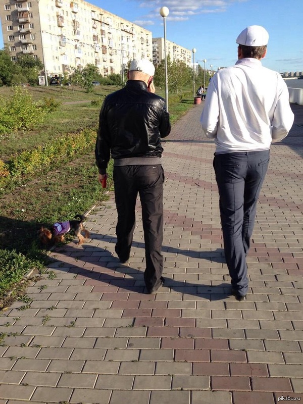 ����. ������� ���������� ����� � ������� �������� .