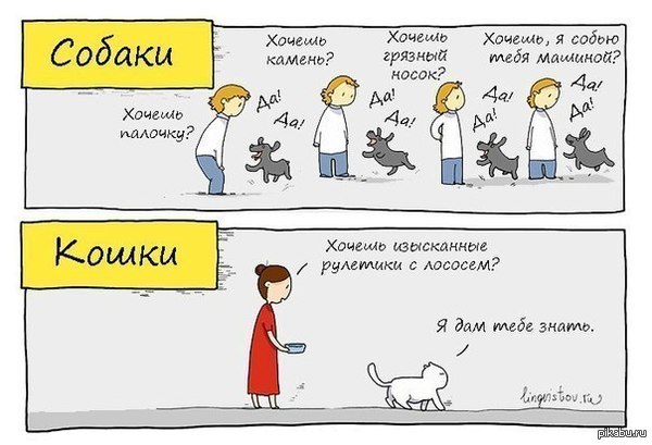 Кошки против собак