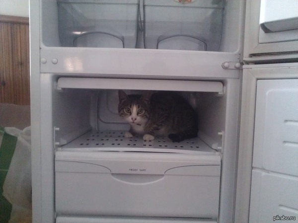    , ,    &quot;&quot;...  ,   --   +33  