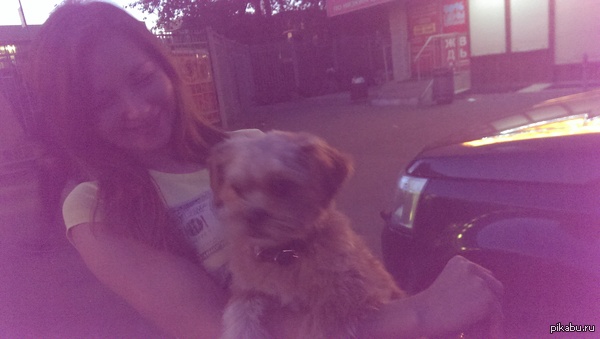 Найдена собака. Сегодня. Район выхино-новогиреево. Хозяин, отзовись!!!