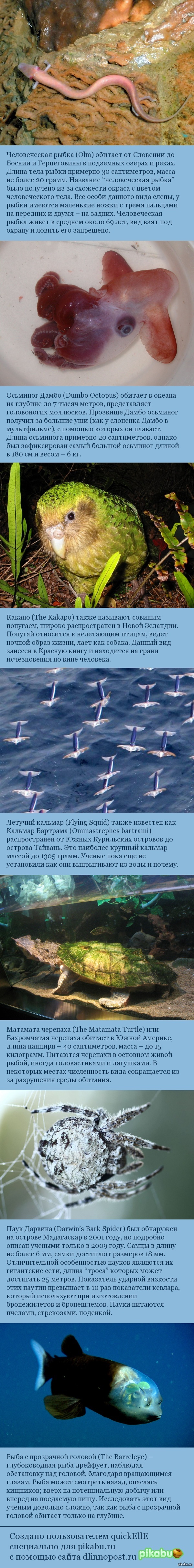 ����� ��������� ��������