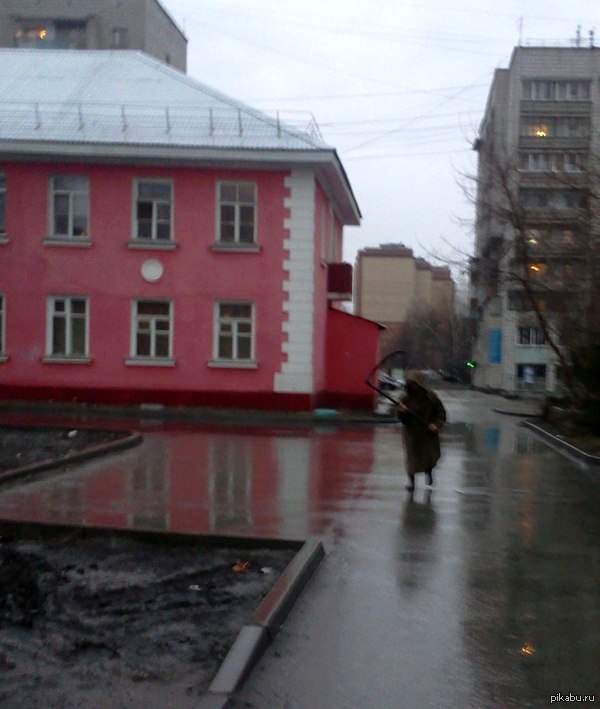 �����������. �������� �����������.