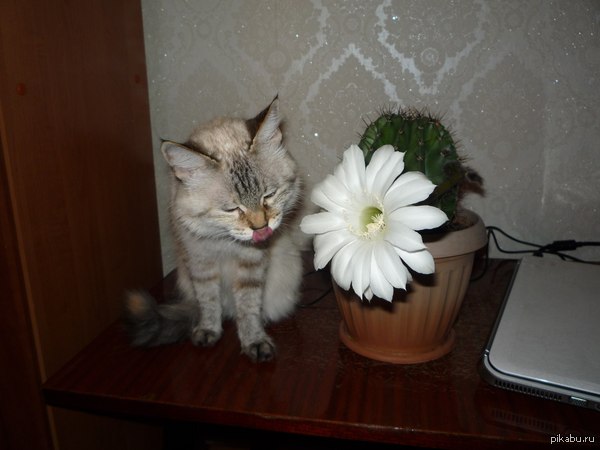 �������� ������! � �����)