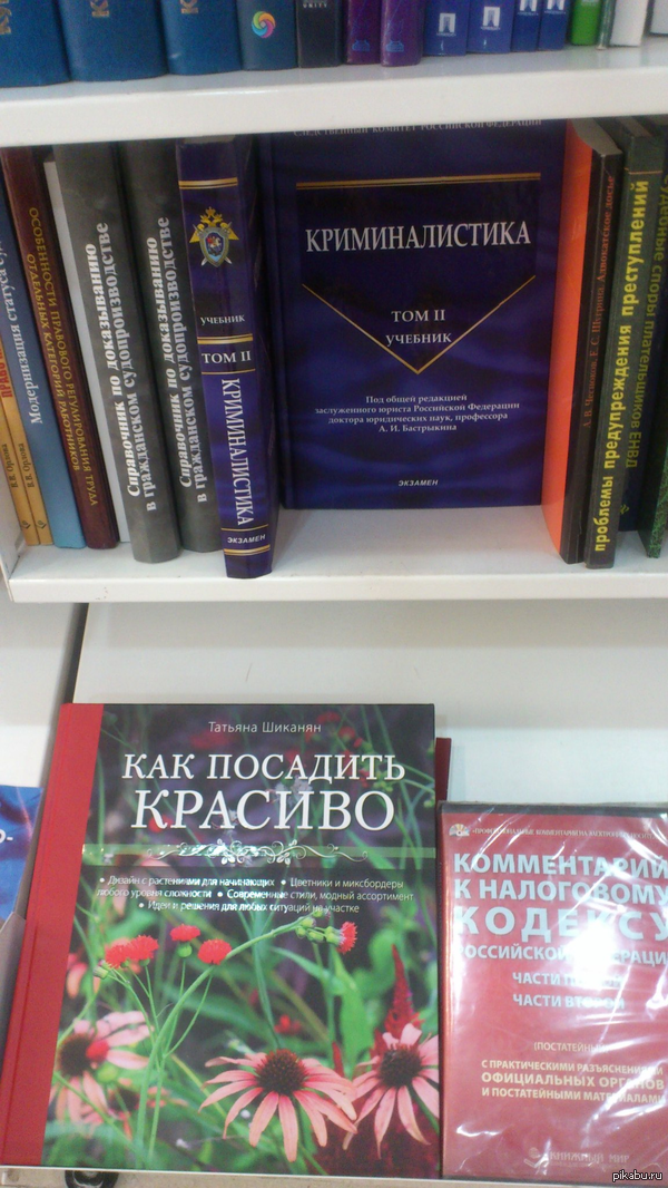 Тем временем в "Буквоеде"