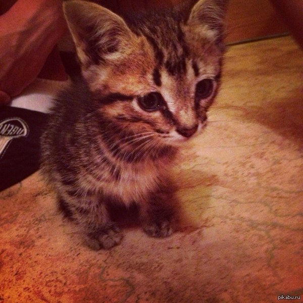   &gt;_&lt;   3    ,    ,!(    )