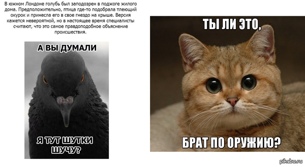 ����� ���������� ������...