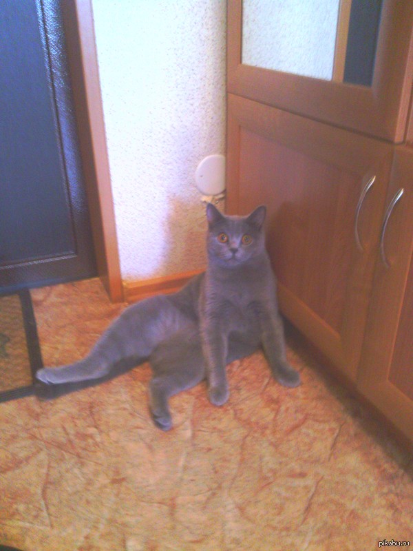 ������� ���� =)