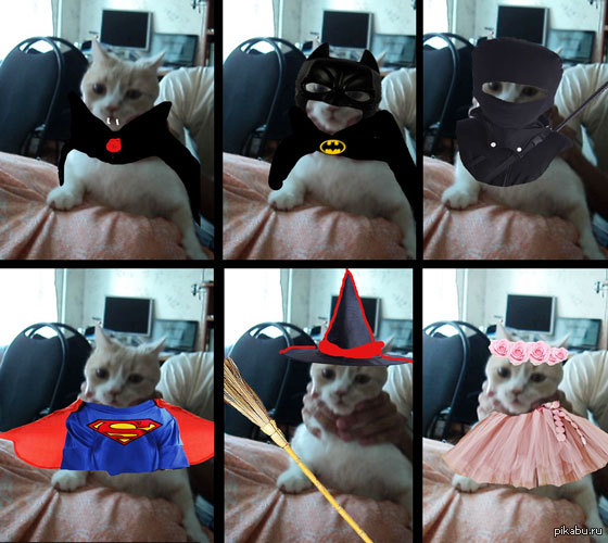 Когда совсем нечем заняться